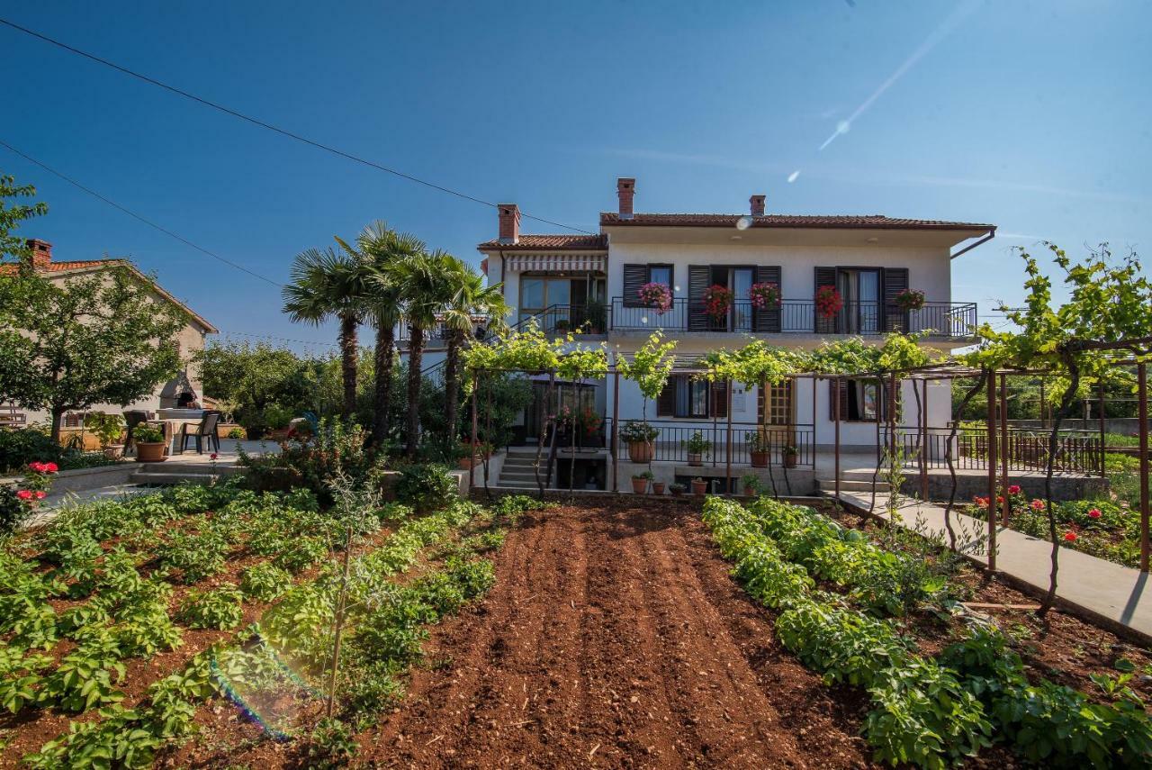 Apartman Ana Bajcici Extérieur photo